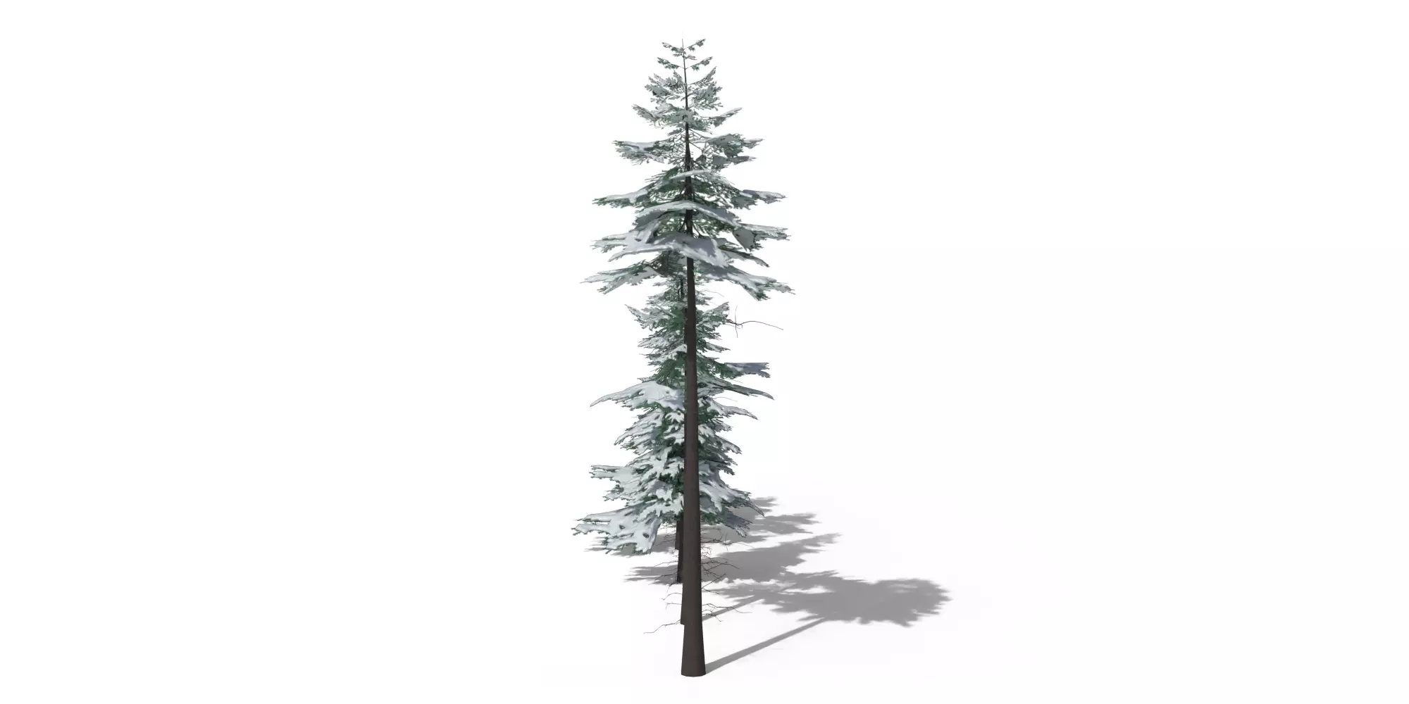 Low Poly Snowy Spruce Tree Pack Free low-poly 3D model_3