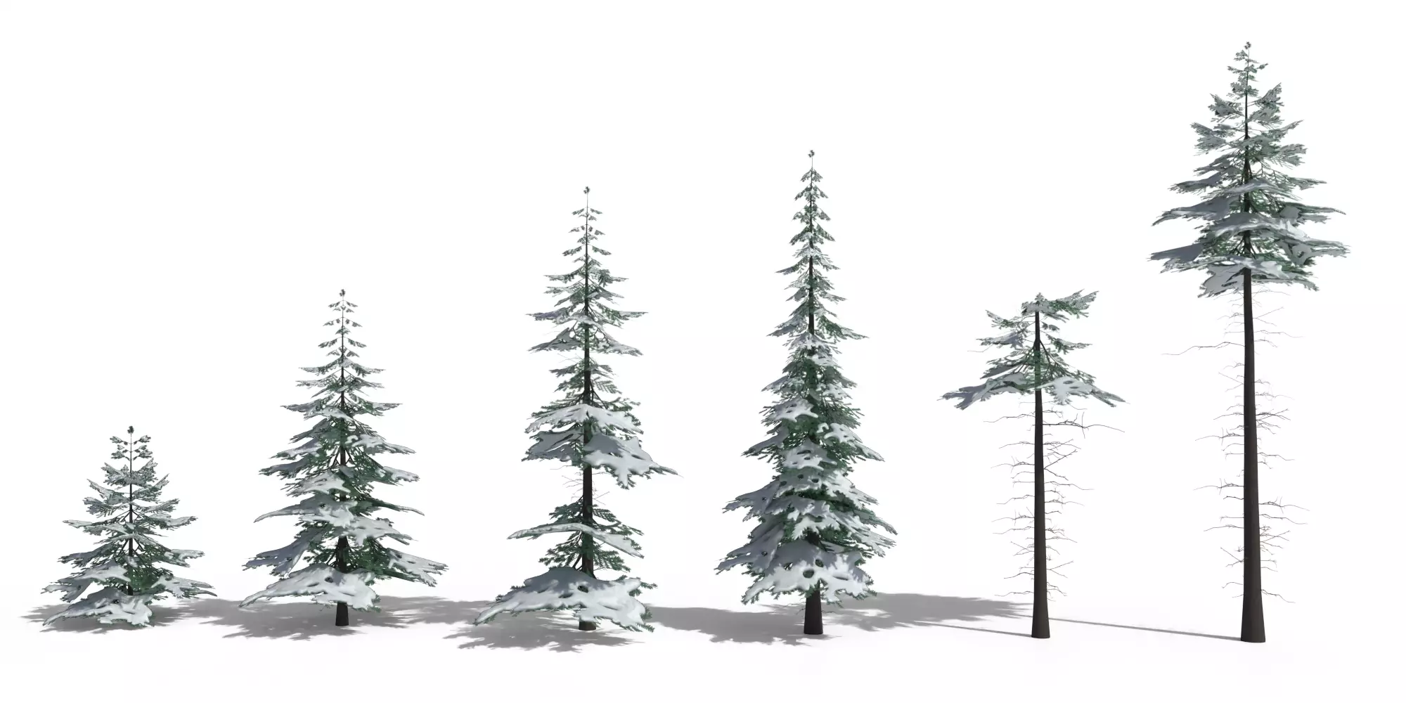 Low Poly Snowy Spruce Tree Pack Free low-poly 3D model_1