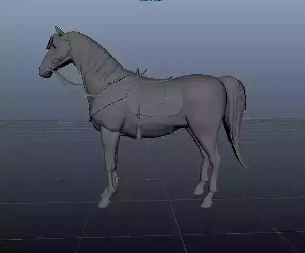 Horse Realistic l Fully Rigged Model