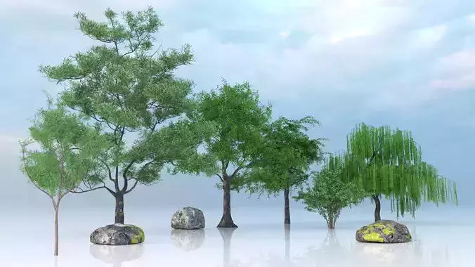 Realistic PBR Tree Rock Pack