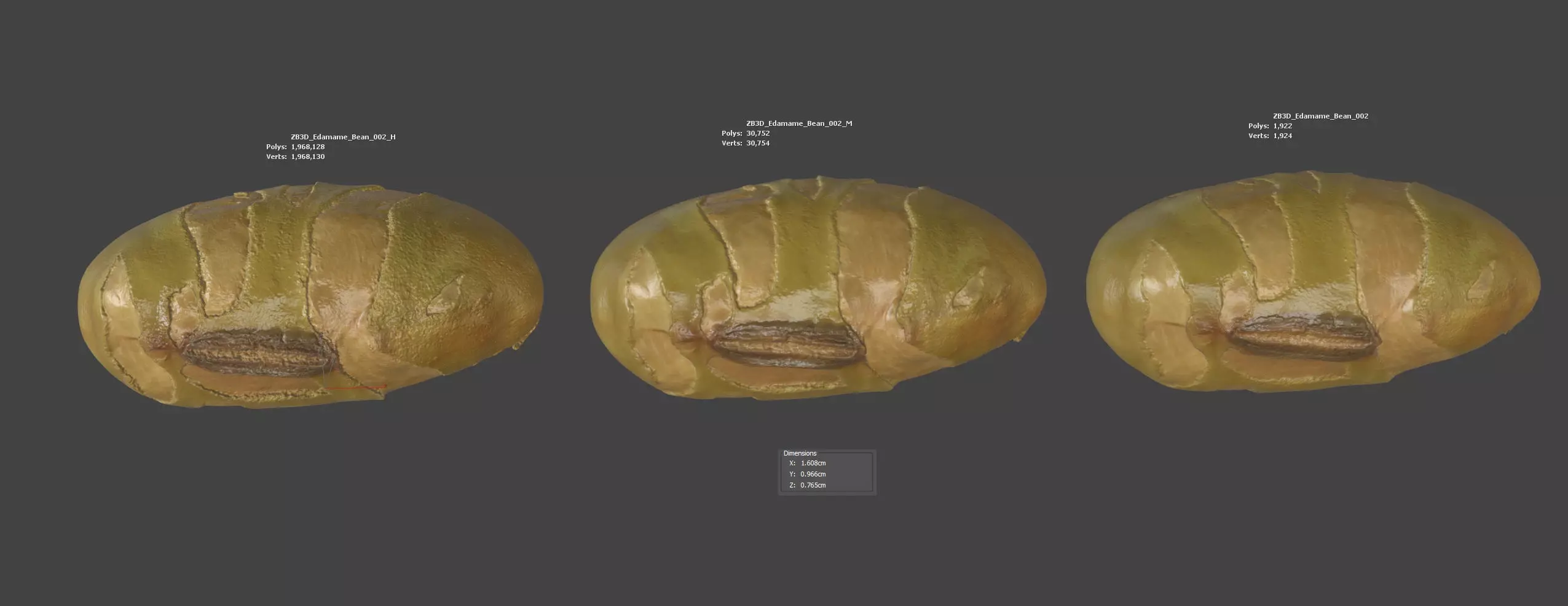 Edamame Bean 3D model_5