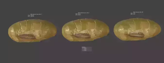 Edamame Bean 3D model 6
