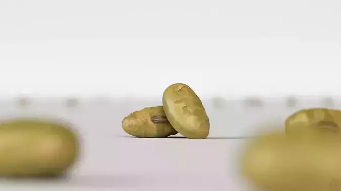 Edamame Bean 3D model 2