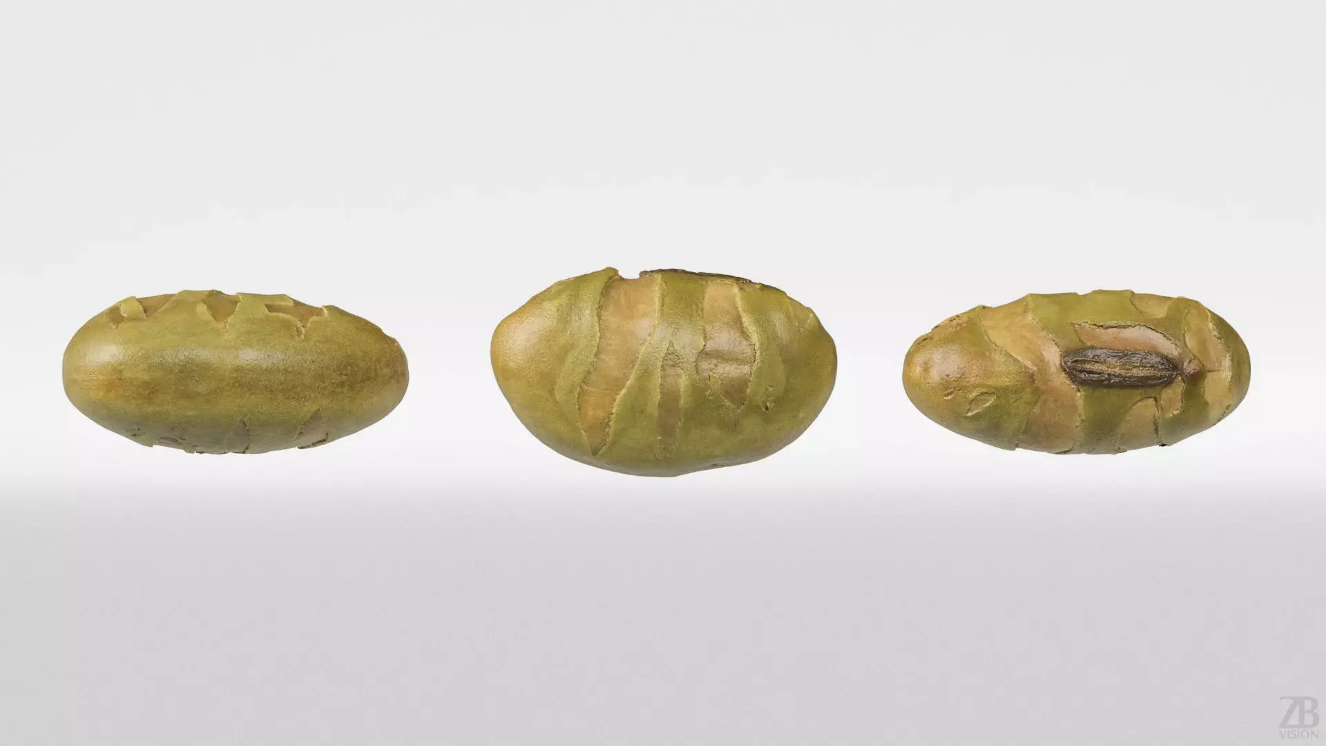 Edamame Bean 3D model_4