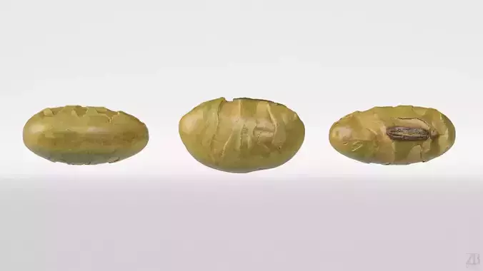 Edamame Bean 3D model 5