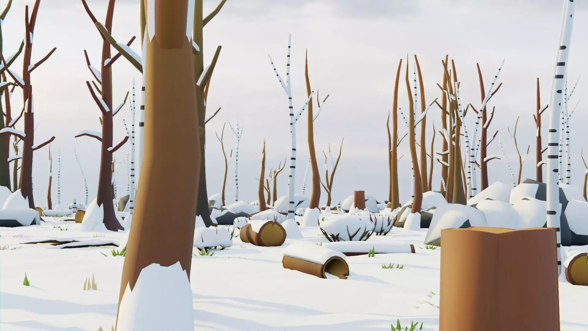 Low Poly Seasonal Forest Biome Low-poly 3D model_22