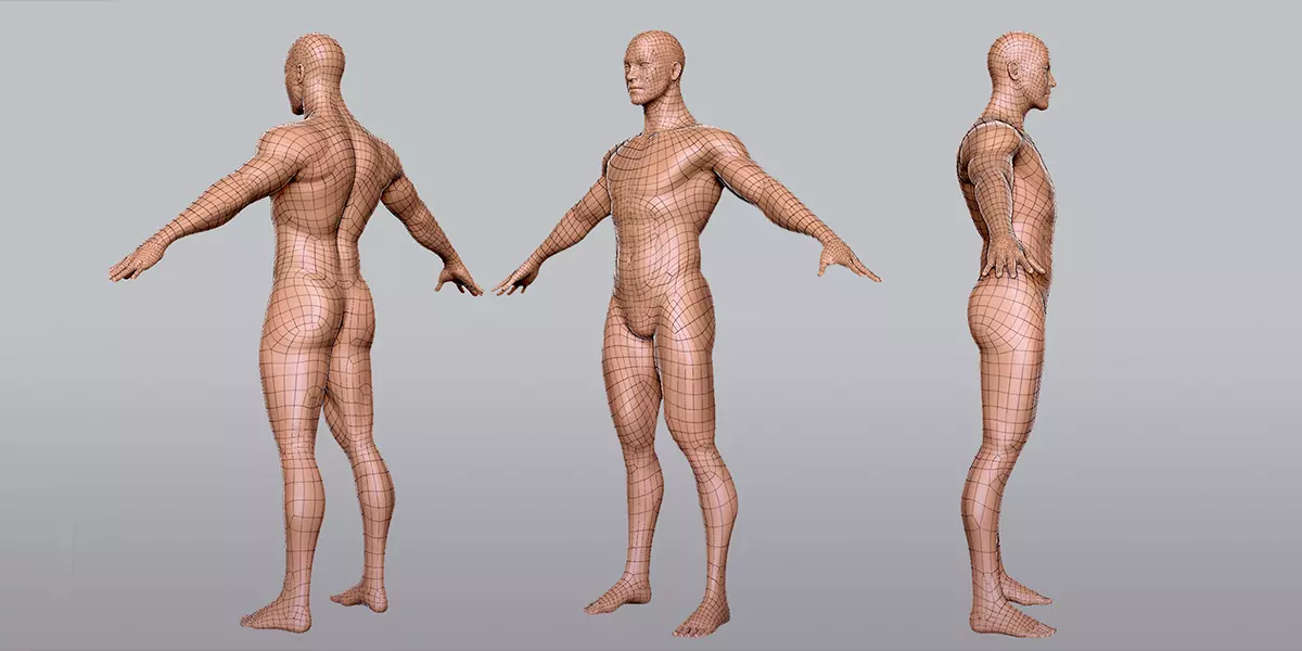 Male BaseMesh Topology Uv Map Free 3D model_1