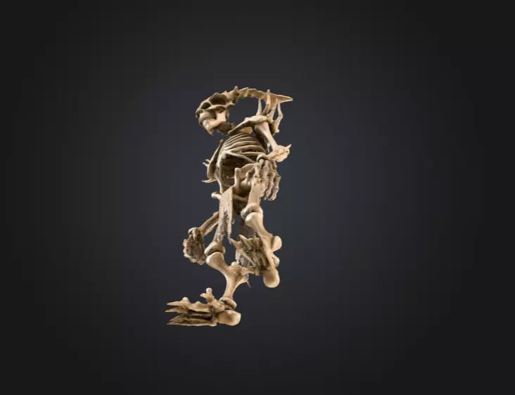 Horned Bone Revenant Low-poly 3D model_13