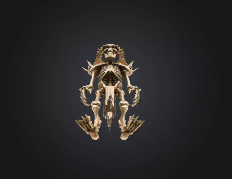 Horned Bone Revenant Low-poly 3D model_11