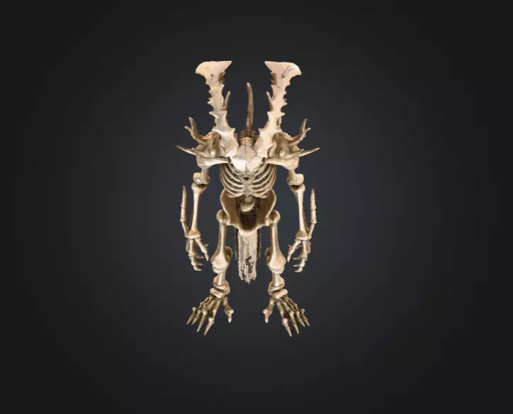 Horned Bone Revenant Low-poly 3D model_8