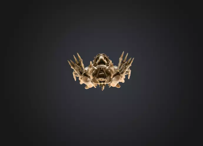 Horned Bone Revenant Low-poly 3D model_15
