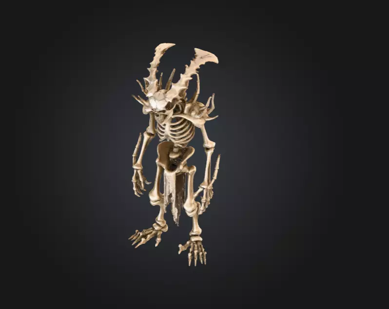 Horned Bone Revenant Low-poly 3D model_10