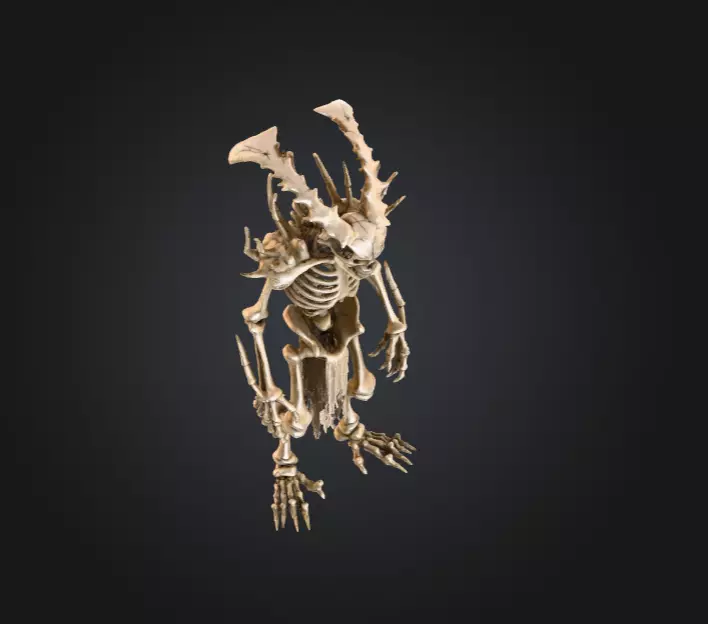 Horned Bone Revenant Low-poly 3D model_9