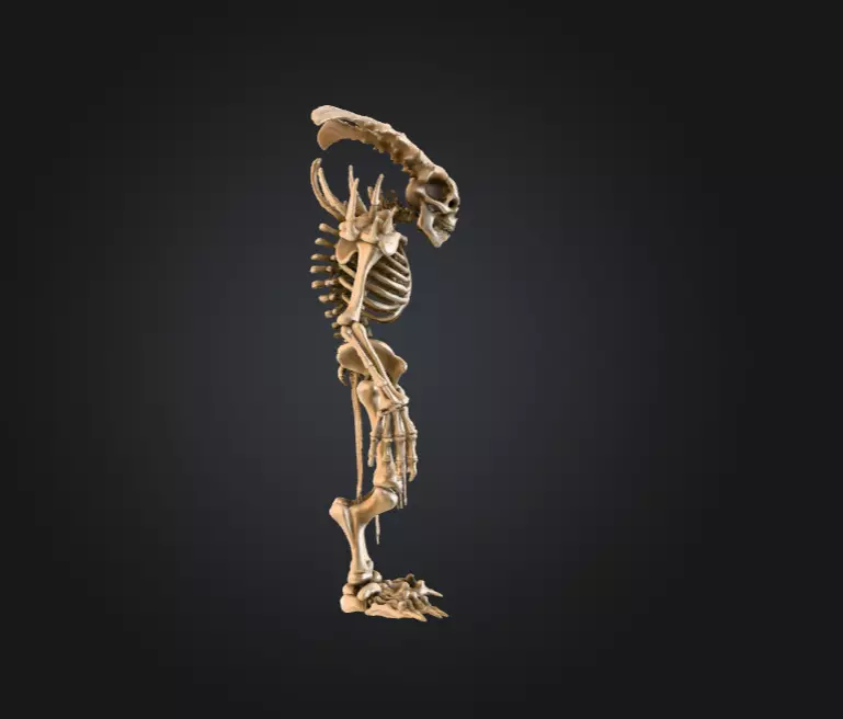 Horned Bone Revenant Low-poly 3D model_2