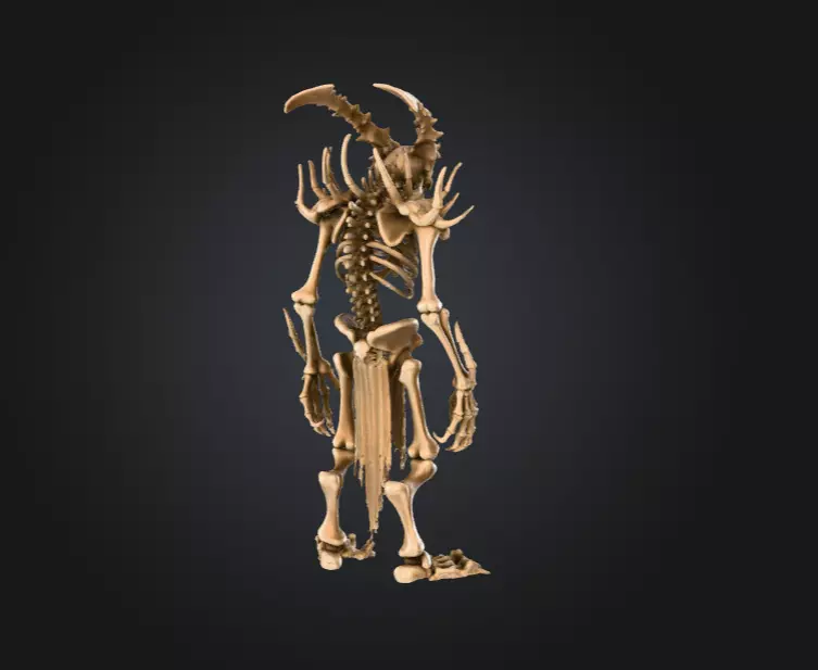 Horned Bone Revenant Low-poly 3D model_3