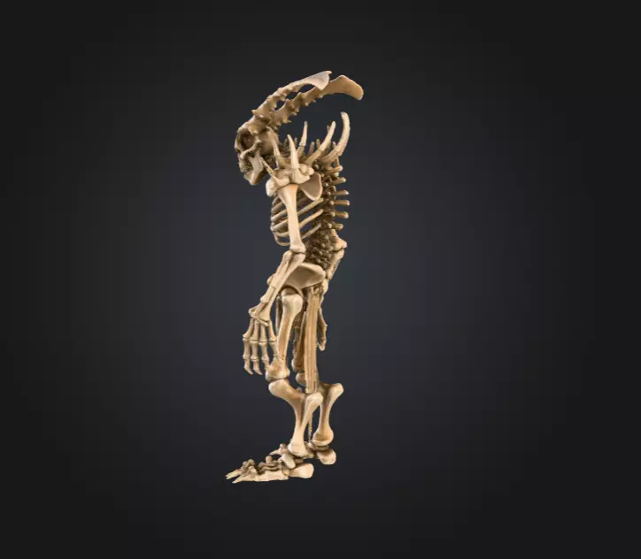 Horned Bone Revenant Low-poly 3D model_5