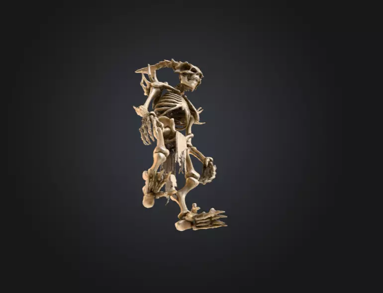 Horned Bone Revenant Low-poly 3D model_12