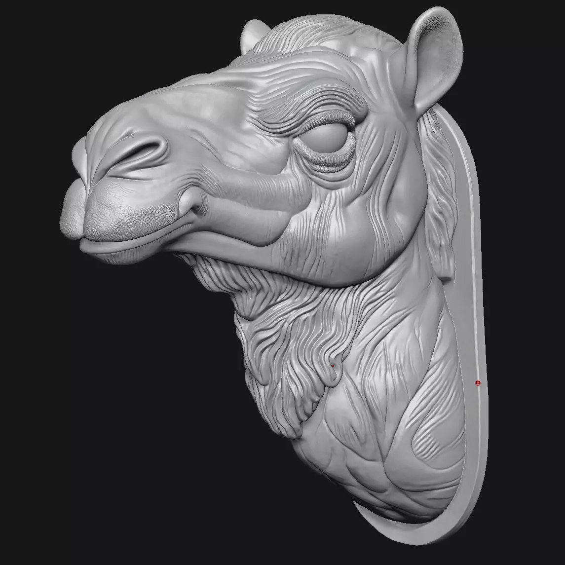 camel 3D print model_3