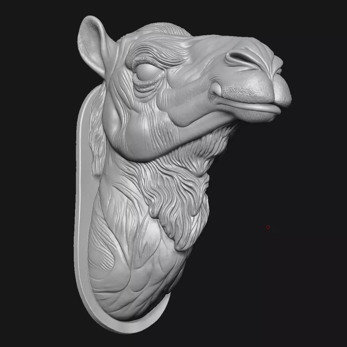 camel 3D print model_2