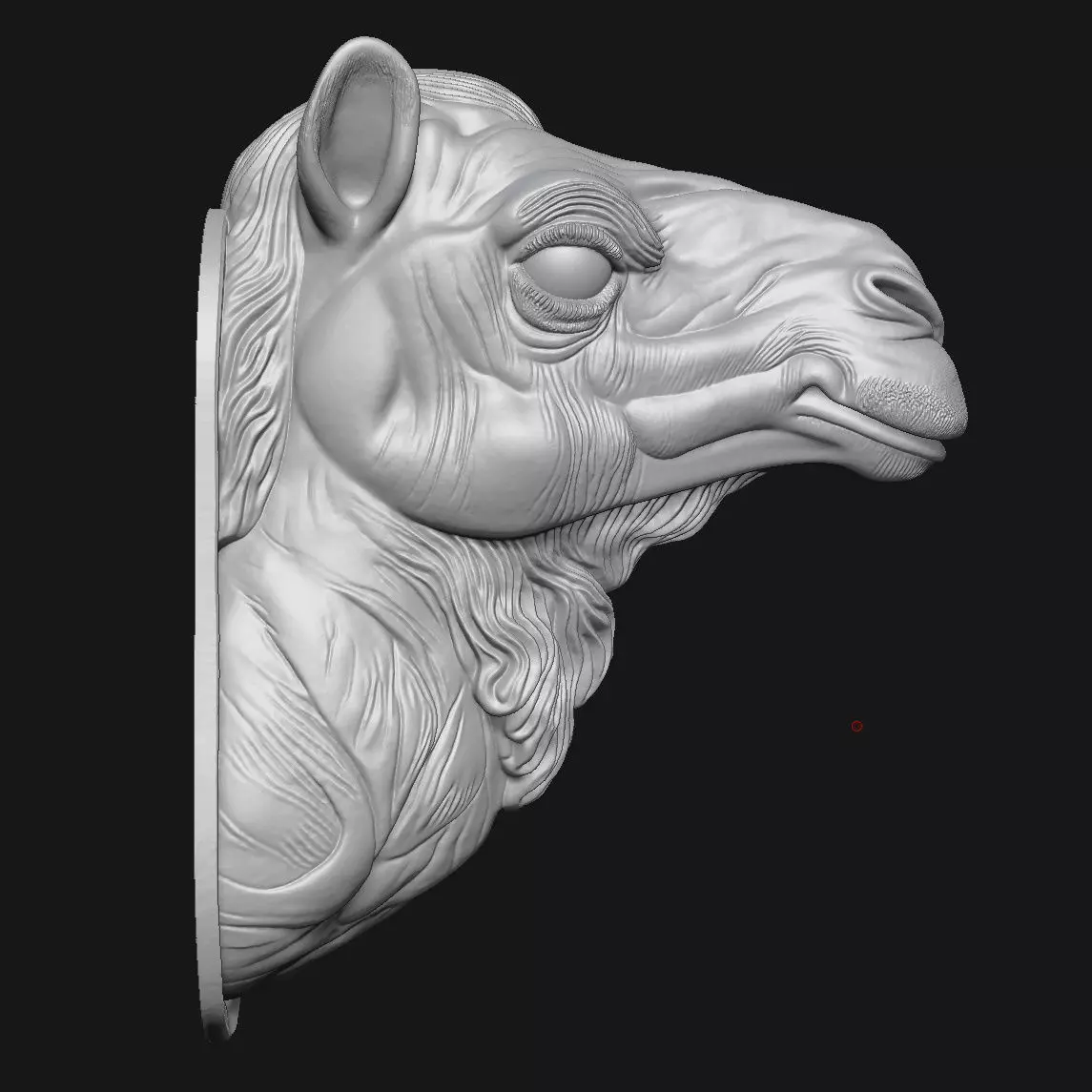 camel 3D print model_1