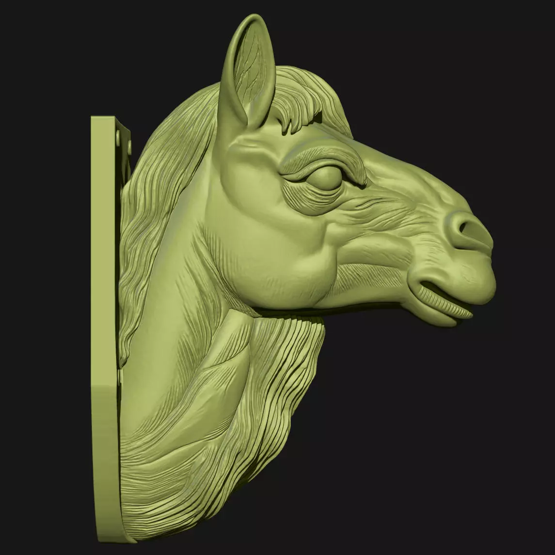 camel 3D print model_4