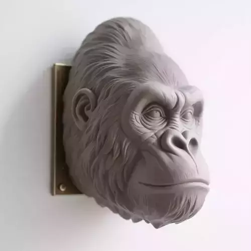 gorilla
