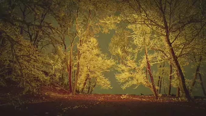 Trees in the park Point Cloud