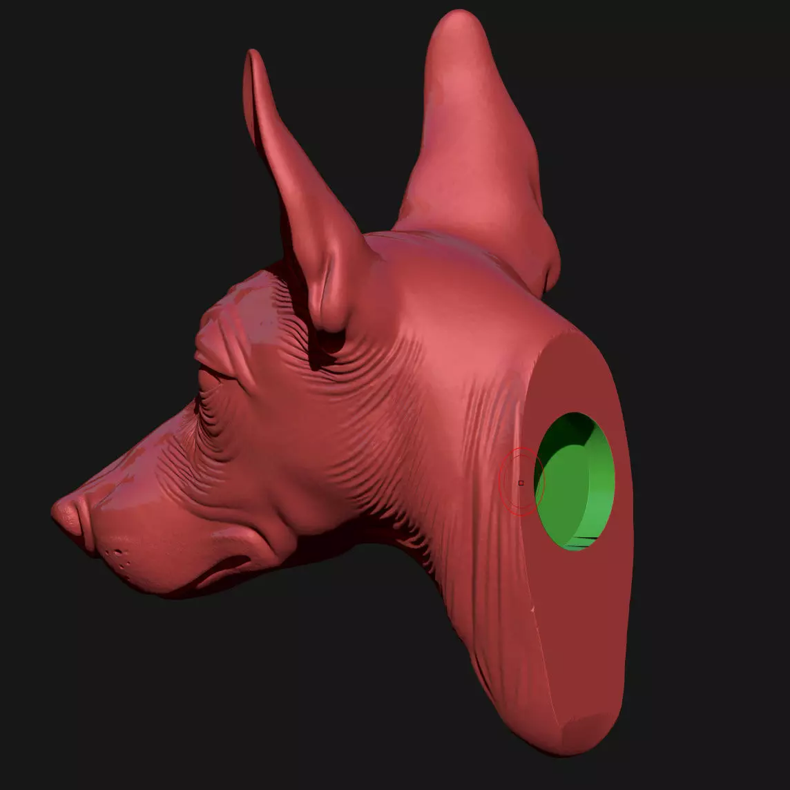 Doberman Pinscher 3D print model_4