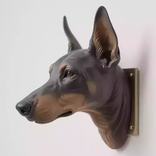 Doberman Pinscher