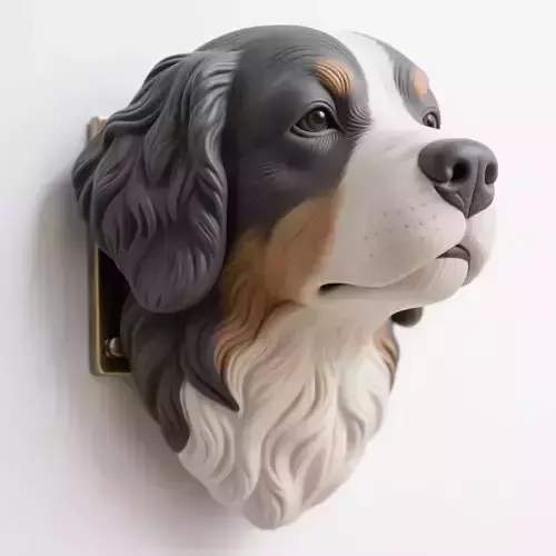 Berner sennenhond