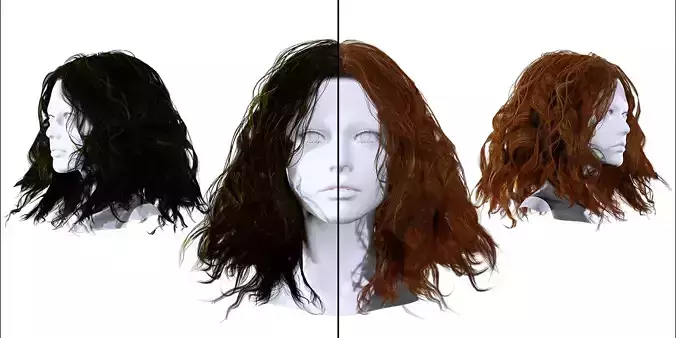 Realistic Female Curly Hair