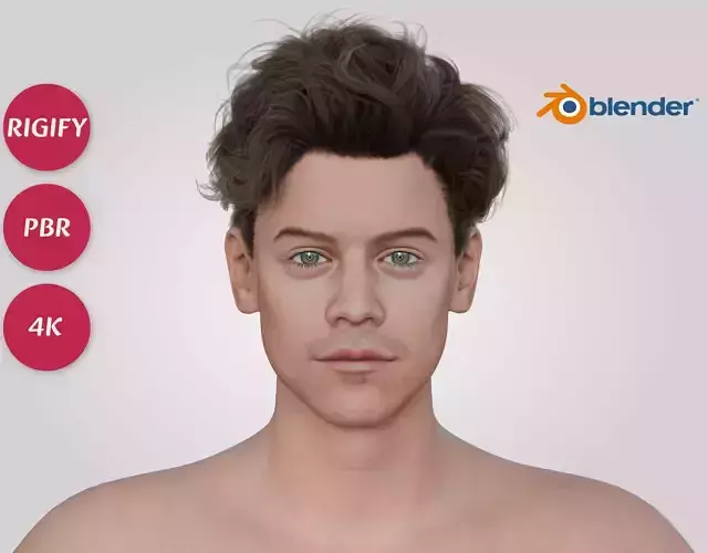 Harry Styles - British Celebrity Singer - Wavy Quiff Hair