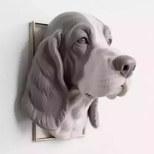 Basset Hound