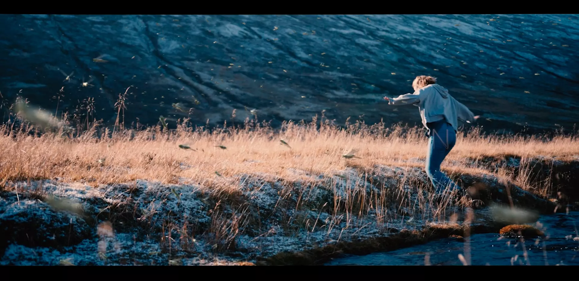 SPYDERFY Boid Systems Add on Free low-poly 3D model_3