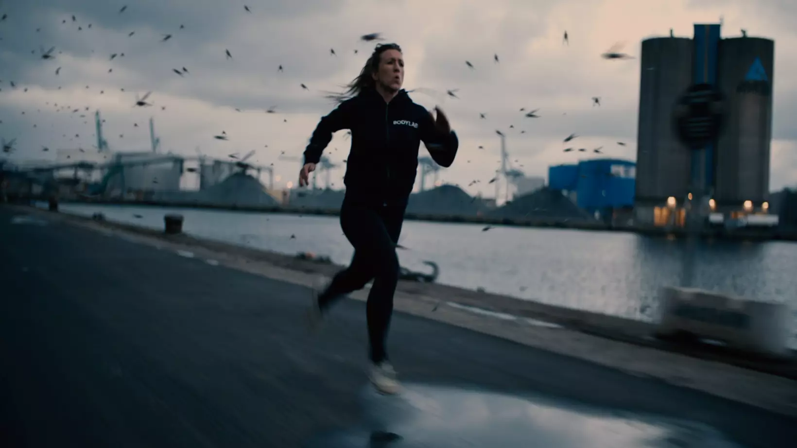 SPYDERFY Boid Systems Add on Free low-poly 3D model_1