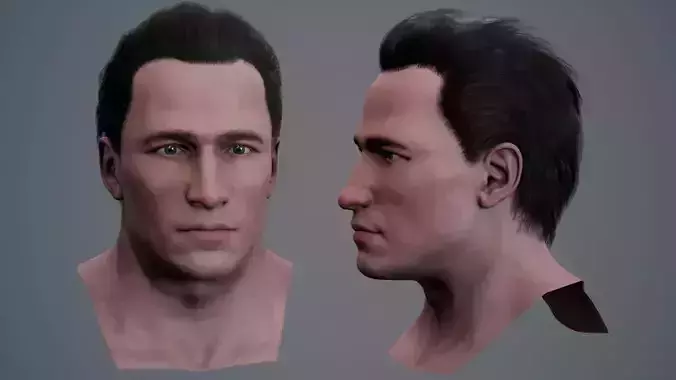 Male Head and Hair 1