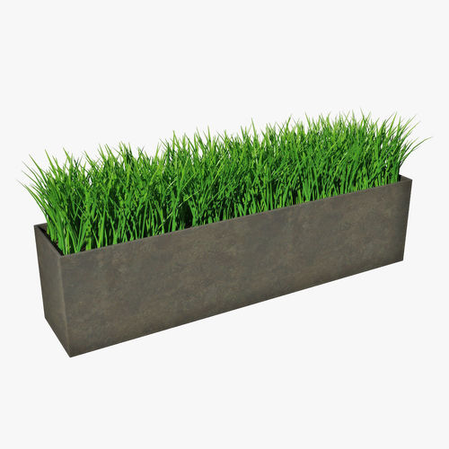 Grass in pot 02 3D model
