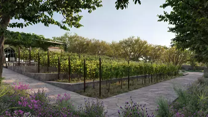 Italian Winery Exterior Scene