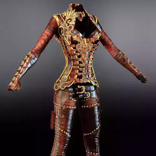 Stylish womens armor