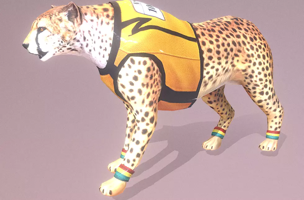RACER African CHEETAH IDLE Fbx Pbr Animated 3D model_1