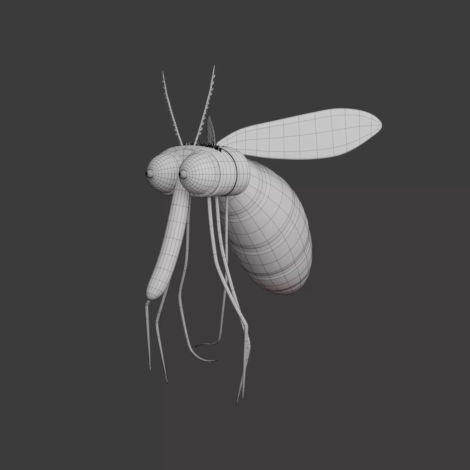 Mosquito Cartoon 02 3D model_11