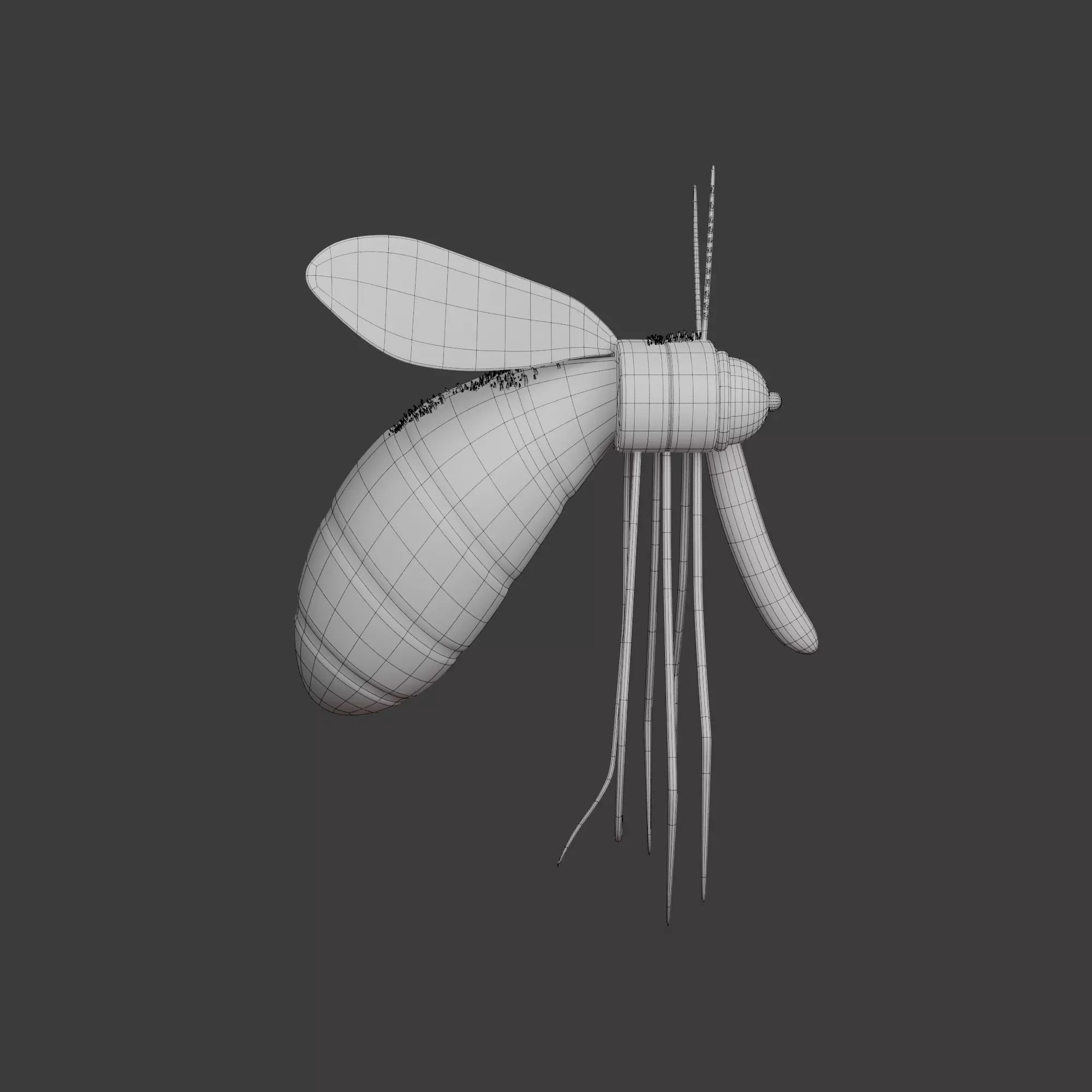 Mosquito Cartoon 02 3D model_14