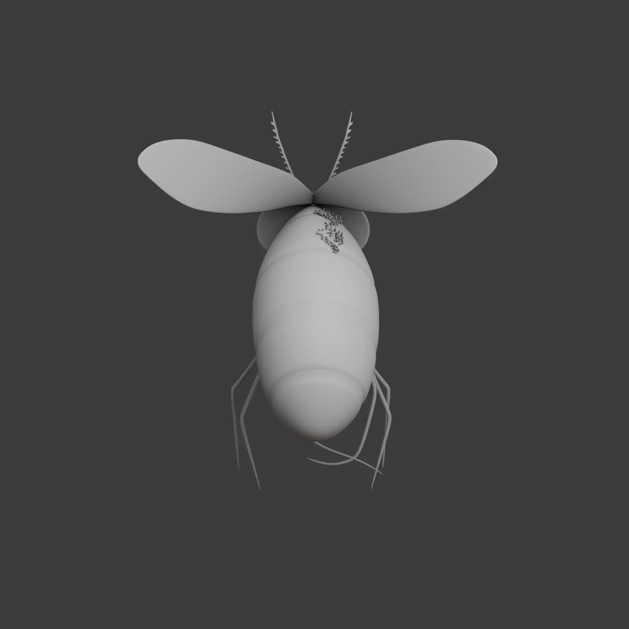 Mosquito Cartoon 02 3D model_8