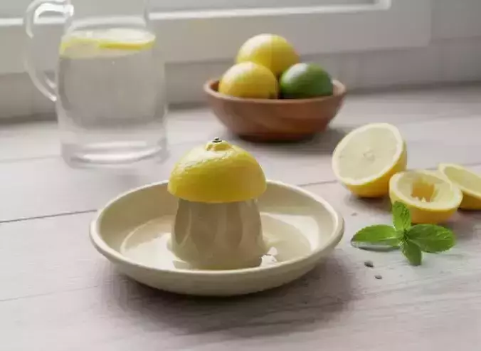 Manual Citrus Juicer