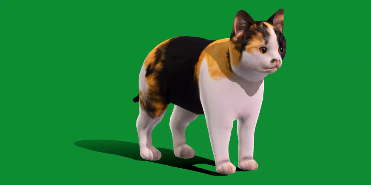 Calico Kitten Cat Free low-poly 3D model_1