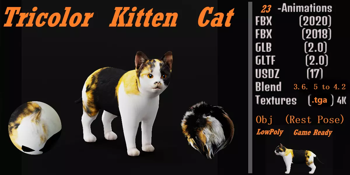 Calico Kitten Cat Free low-poly 3D model_0