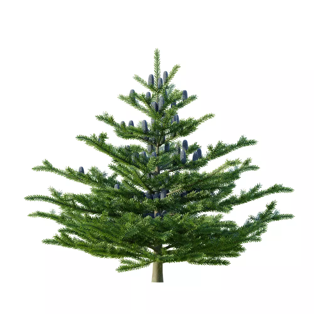 Lappset Pico Free low-poly 3D model_6