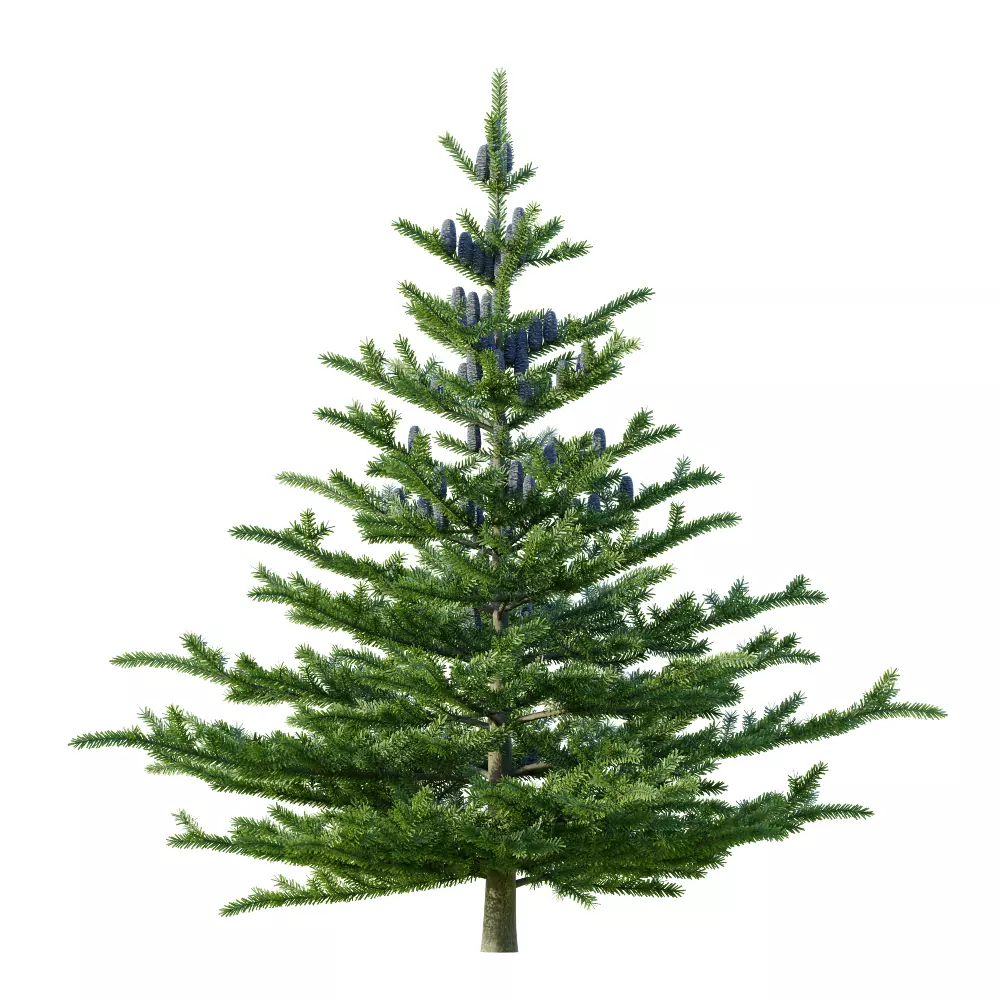 Lappset Pico Free low-poly 3D model_4