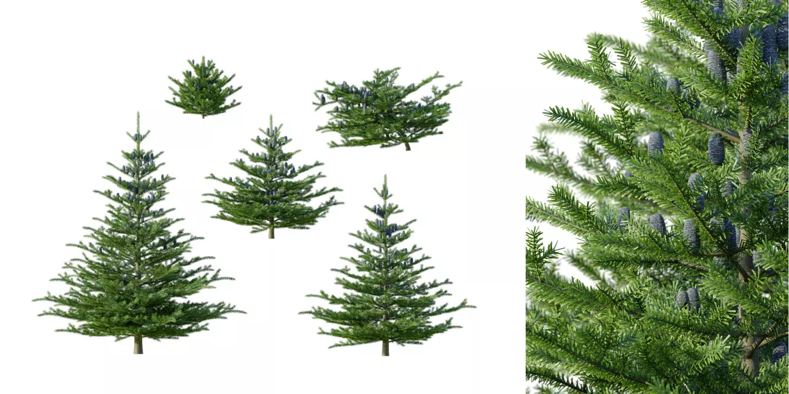 Lappset Pico Free low-poly 3D model_0