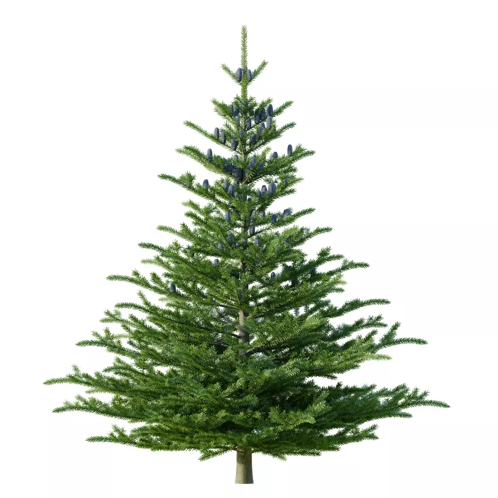 Lappset Pico Free low-poly 3D model_2